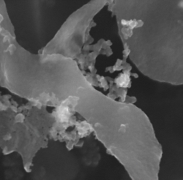 PROJEKT OP VVV: UJEP vyvíjí nano technologie pro zlepšení vlastností kovů!